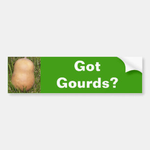 Got Gourds? Bumper Sticker