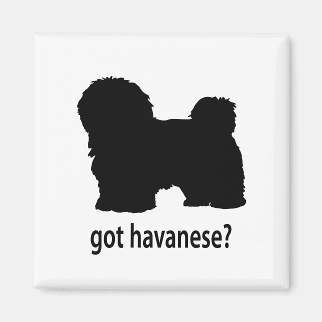 Got Havanese Magnet (Front)