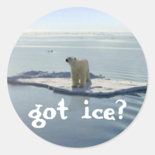 GOT ICE? CLASSIC ROUND STICKER