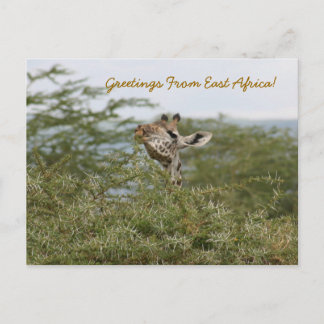 Got It! - Postcard
