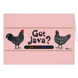 Got Java?