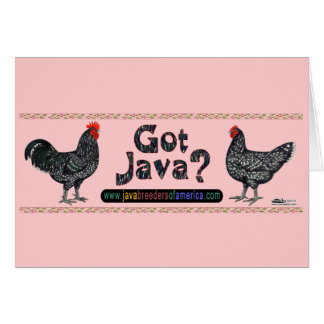 Got Java?