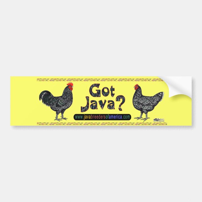 Got Java? Bumper Sticker (Front)