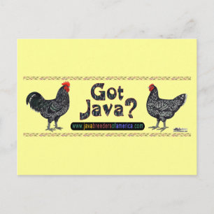 Got Java? Postcard
