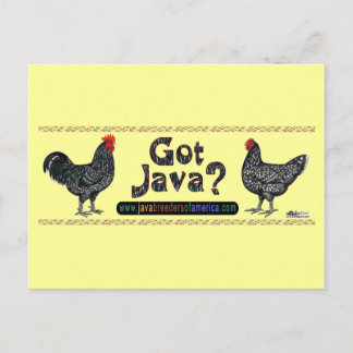 Got Java? Postcard