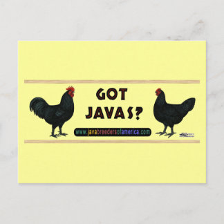 Got Javas? Postcard