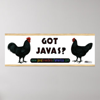 Got Javas? Poster