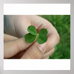 Got lucky? poster