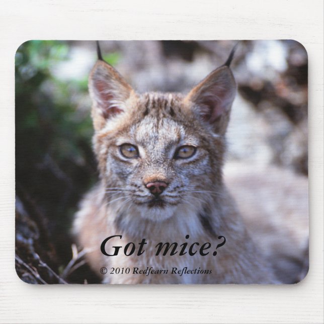 Got mice?, mouse pad (Front)