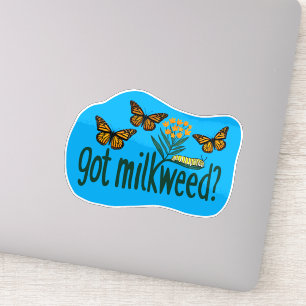 GOT MILKWEED? Monarch Butterfly Caterpillar Plants