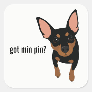 Got Min Pin? Miniature Pinscher (Black) Sticker