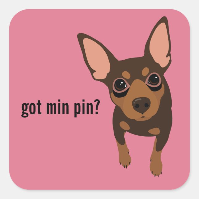 Got Min Pin Miniature Pinscher (Chocolate) Sticker (Front)