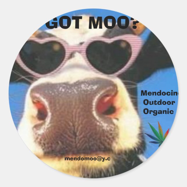 GOT MOO POT STICKER (Front)