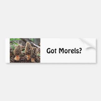 Got Morels? Bumper Sticker