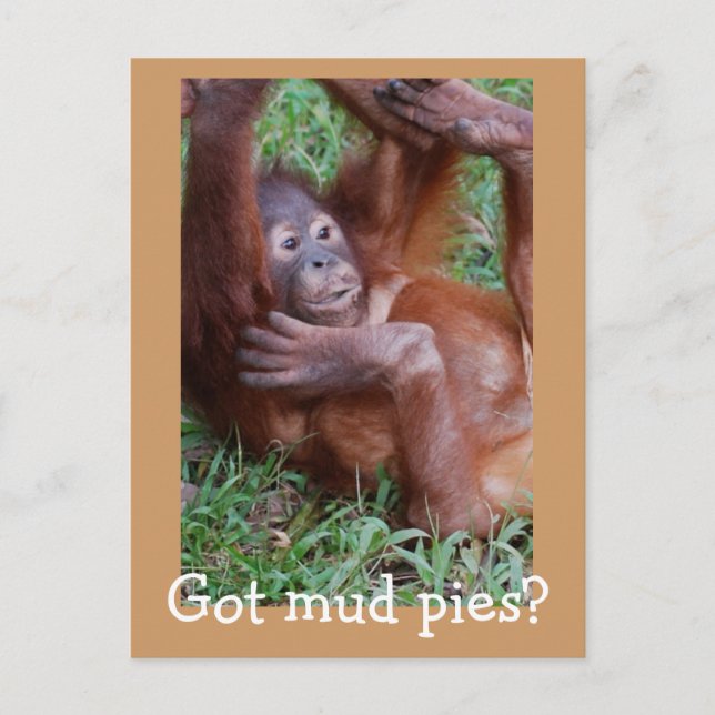 Got mud pies? postcard (Front)
