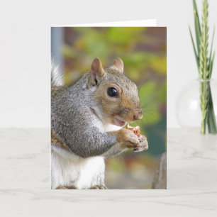 Got nuts? card