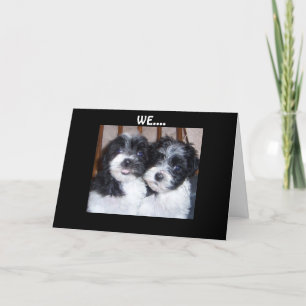 GOT OUR HEADS TOGETHER-BIRTHDAY CARD