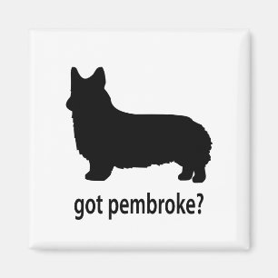 Got Pembroke Corgi Magnet