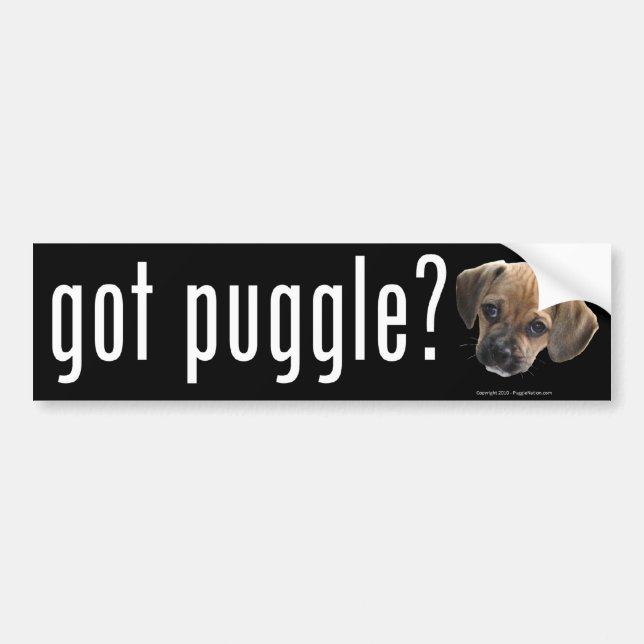 Got Puggle Bumper Sticker (Front)