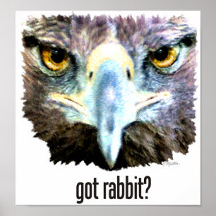 Got Rabbit? Poster