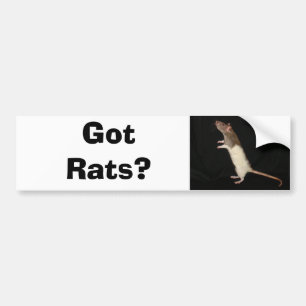 Got Rats?, Got Rats? Bumper Sticker