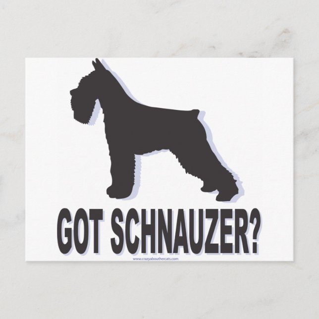 Got Schnauzer? Postcard (Front)