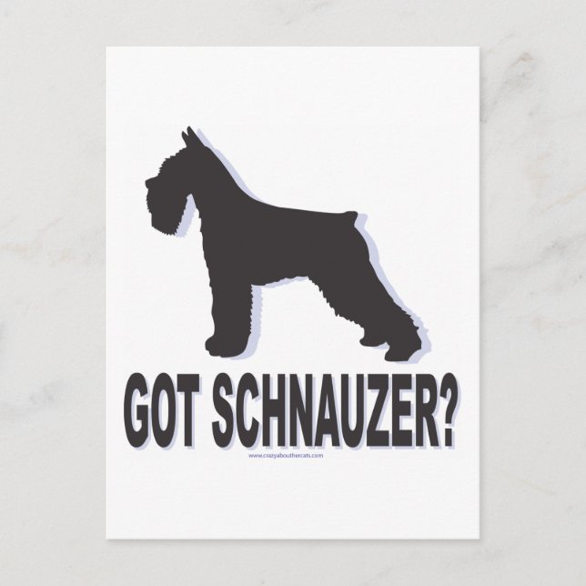 Got Schnauzer? Postcard (Front)