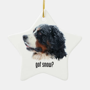 got snow? Bernese Mountain Dog Ceramic Tree Decoration