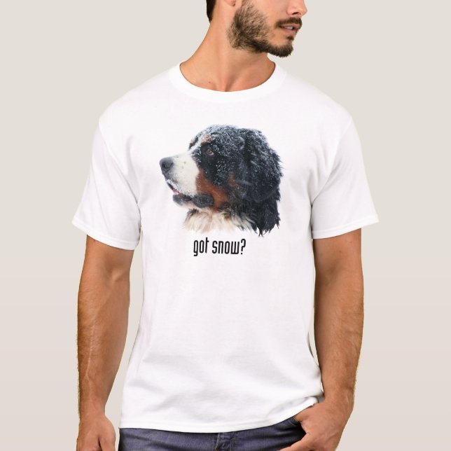 got snow? Bernese Mountain Dog T-Shirt (Front)