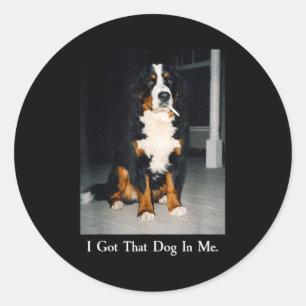 Got that dog in bernese mountain dog smoking classic round sticker