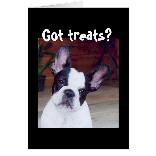 'Got treats?' (Front)