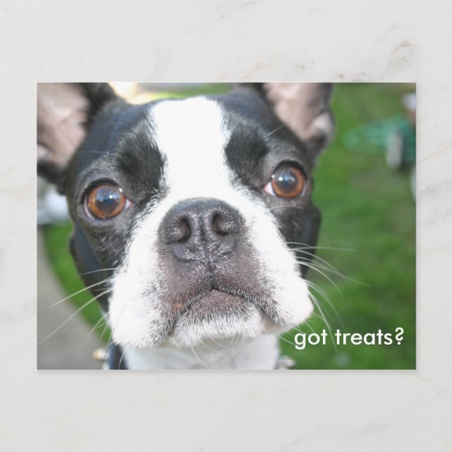 Got treats postcard (Front)