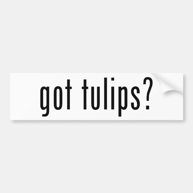 got tulips? bumper sticker (Front)