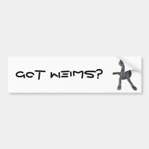 Got Weims? weimaraner bumper sticker