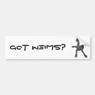 Got Weims? weimaraner bumper sticker