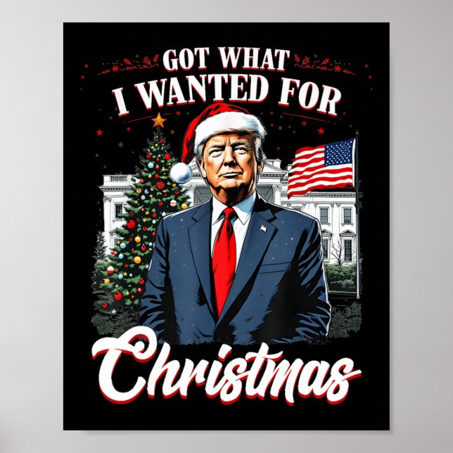 Got What I Wanted For Christmas Trump 2024 4  Poster (Front)
