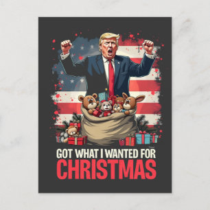 Got What I wanted For Christmas Trump Santa Postcard