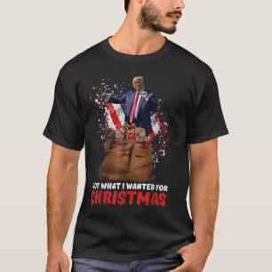 Got What I Wanted For Christmas - Trump Won 2024 T-Shirt