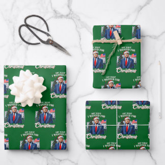 Got What I Wanted for Christmas Trump Wrapping Paper Sheet