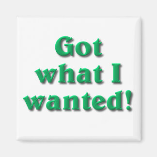 Got What I Wanted Magnet