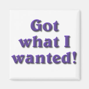 Got What I Wanted Magnet
