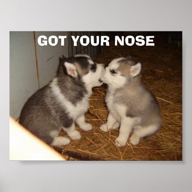 GOT YOUR NOSE POSTER (Front)
