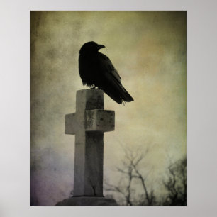 Goth CrowPoster Poster
