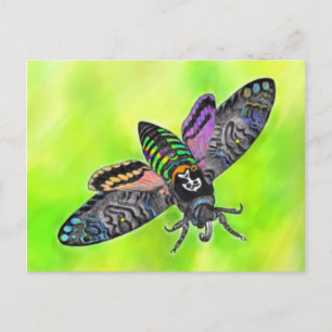 Goth Moth postcard
