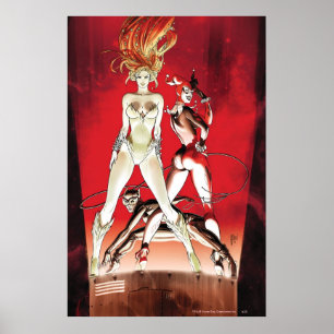 Gotham City Sirens Cv1.2nd Poster