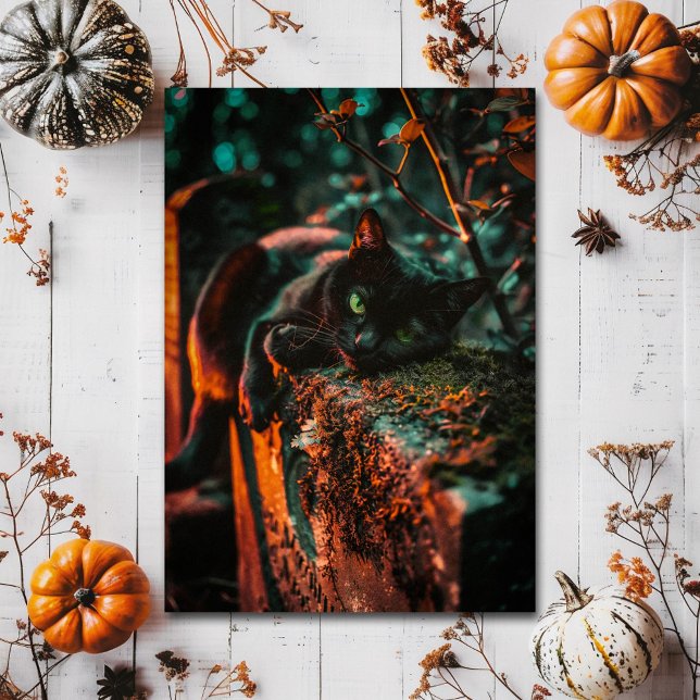 Gothic Black Cat Cemetery Spooky Halloween Postcard (Creator Uploaded)
