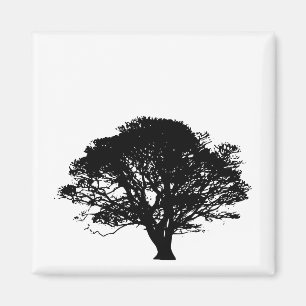 Gothic Black Oak Tree Silhouette Fine Art Drawing Magnet
