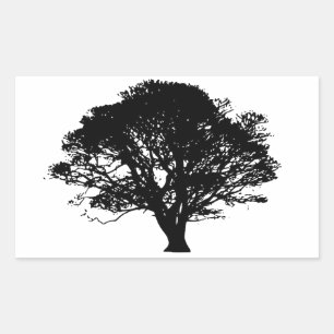 Gothic Black Oak Tree Silhouette Fine Art Drawing Rectangular Sticker