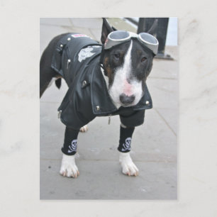 Gothic Bulldog Post Card