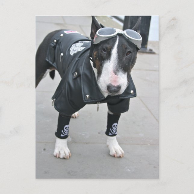 Gothic Bulldog Post Card (Front)